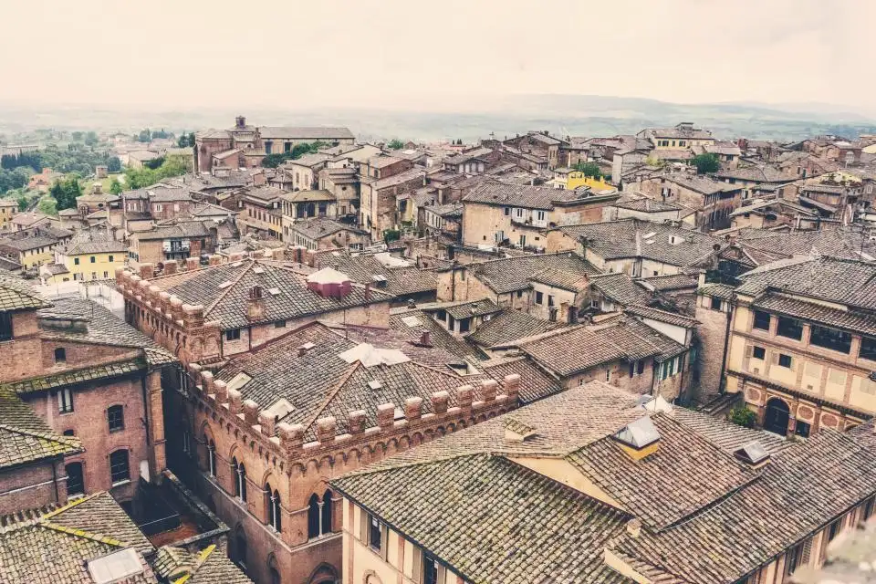 Rooftops across a lakeside neighbourhood